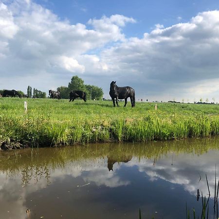 Vakantiehuis In Friesland Voor De Hele Familie Huns Экстерьер фото